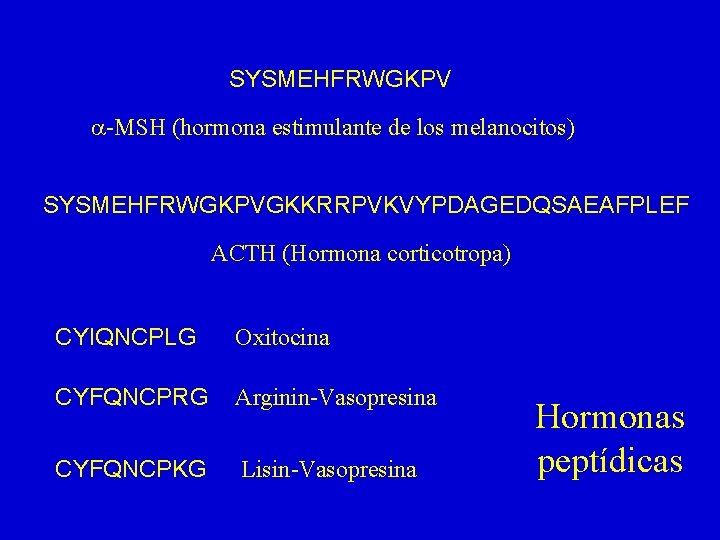 SYSMEHFRWGKPV a-MSH (hormona estimulante de los melanocitos) SYSMEHFRWGKPVGKKRRPVKVYPDAGEDQSAEAFPLEF ACTH (Hormona corticotropa) CYIQNCPLG Oxitocina CYFQNCPRG