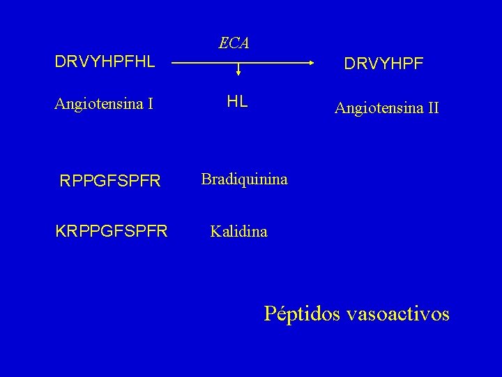 ECA DRVYHPFHL Angiotensina I RPPGFSPFR KRPPGFSPFR DRVYHPF HL Angiotensina II Bradiquinina Kalidina Péptidos vasoactivos