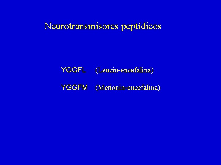 Neurotransmisores peptídicos YGGFL (Leucin-encefalina) YGGFM (Metionin-encefalina) 