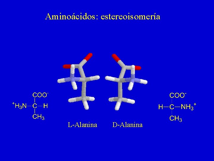 Aminoácidos: estereoisomería L-Alanina D-Alanina 