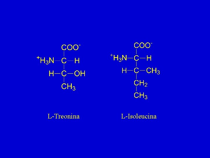 L-Treonina L-Isoleucina 