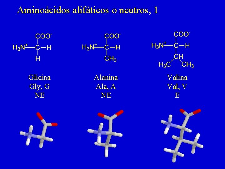 Aminoácidos alifáticos o neutros, 1 Glicina Gly, G NE Alanina Ala, A NE Valina