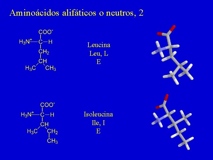 Aminoácidos alifáticos o neutros, 2 Leucina Leu, L E Isoleucina Ile, I E 