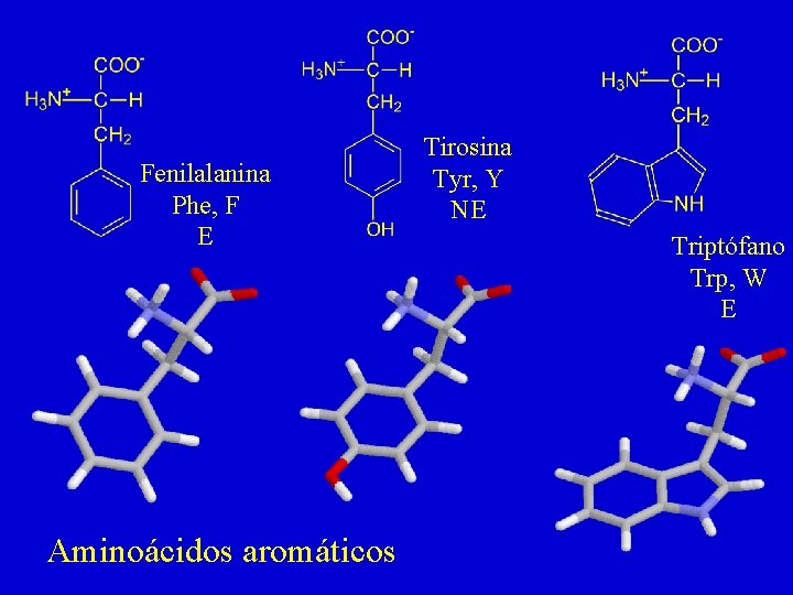 Fenilalanina Phe, F E Aminoácidos aromáticos Tirosina Tyr, Y NE Triptófano Trp, W E