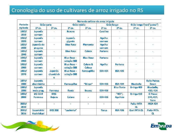 Cronologia do uso de cultivares de arroz irrigado no RS 