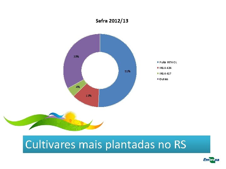 Safra 2012/13 33% Puita INTA CL 51% IRGA 424 IRGA 417 Outras 4% 12%