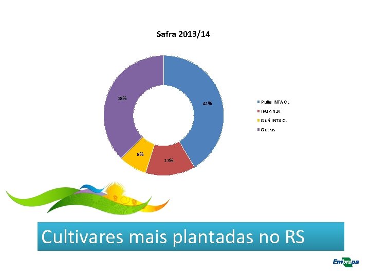 Safra 2013/14 38% 41% Puita INTA CL IRGA 424 Guri INTA CL Outras 8%