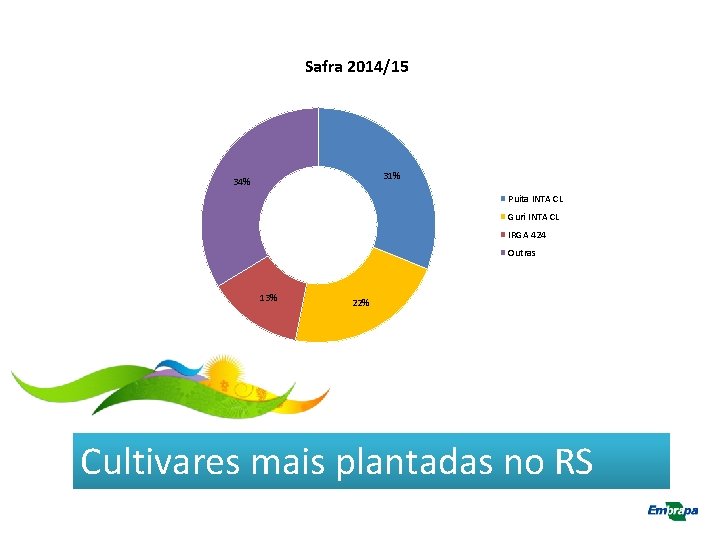 Safra 2014/15 31% 34% Puita INTA CL Guri INTA CL IRGA 424 Outras 13%