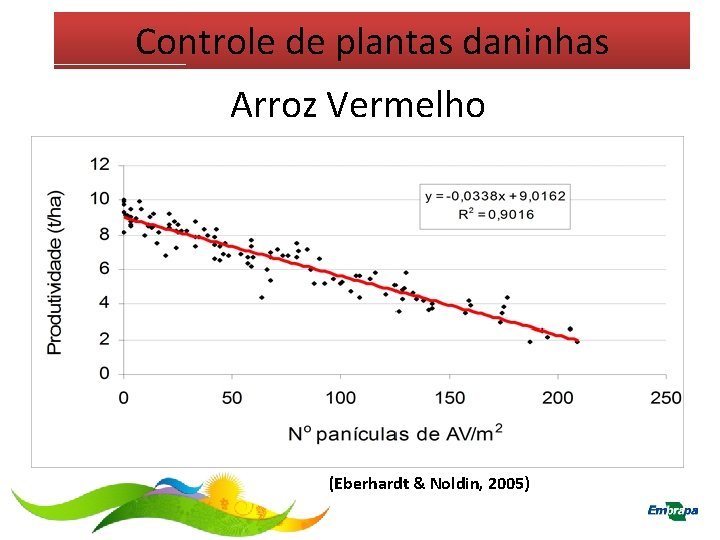 Controle de plantas daninhas Arroz Vermelho (Eberhardt & Noldin, 2005) 