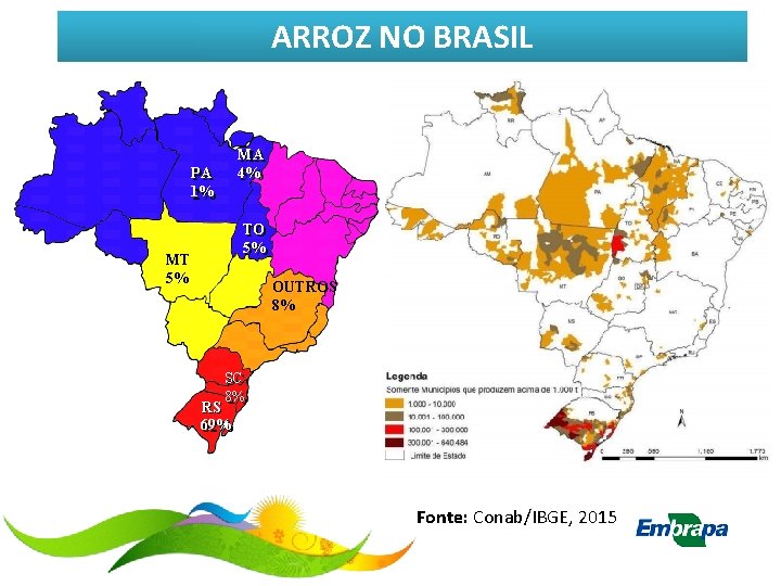 ARROZ NO BRASIL MA MA 4% 5% PA PA 1% 2% TO TO 5%