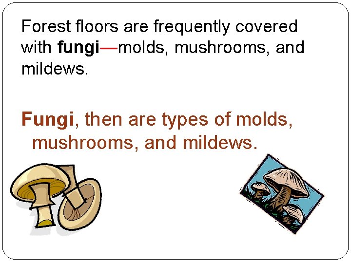 Forest floors are frequently covered with fungi—molds, mushrooms, and mildews. Fungi, then are types