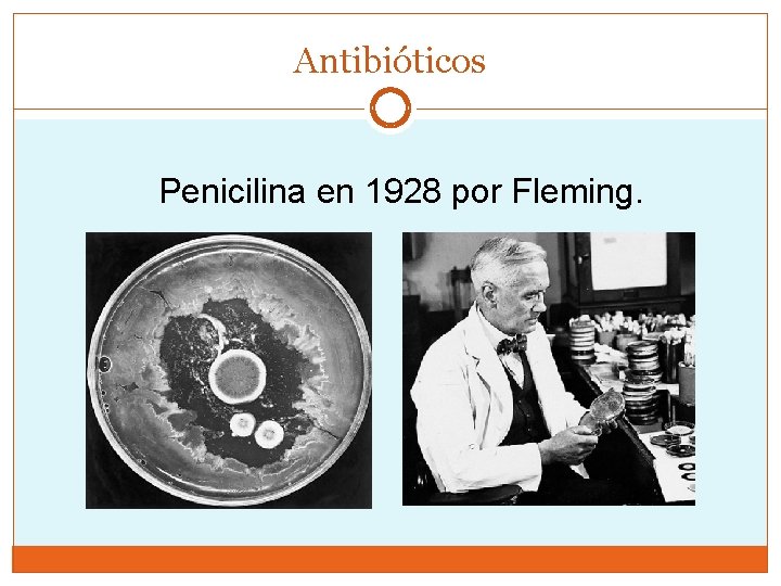 Antibióticos Penicilina en 1928 por Fleming. 