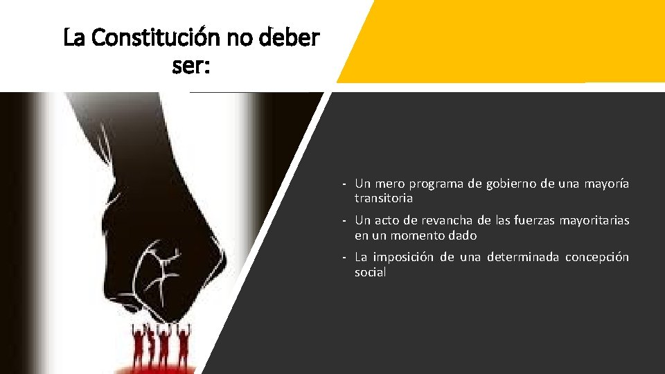 La Constitución no deber ser: - Un mero programa de gobierno de una mayoría