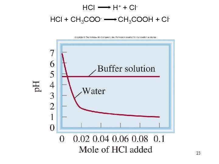 HCl H+ + Cl. HCl + CH 3 COO- CH 3 COOH + Cl-