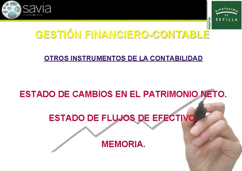 GESTIÓN FINANCIERO-CONTABLE OTROS INSTRUMENTOS DE LA CONTABILIDAD ESTADO DE CAMBIOS EN EL PATRIMONIO NETO.