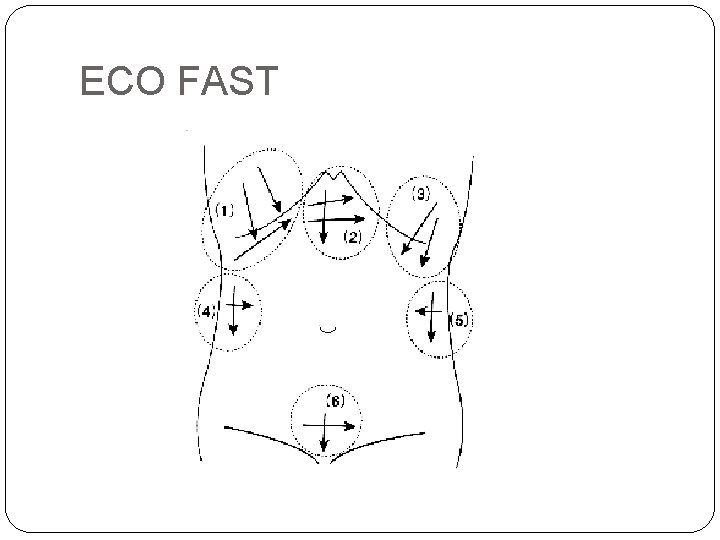 ECO FAST 