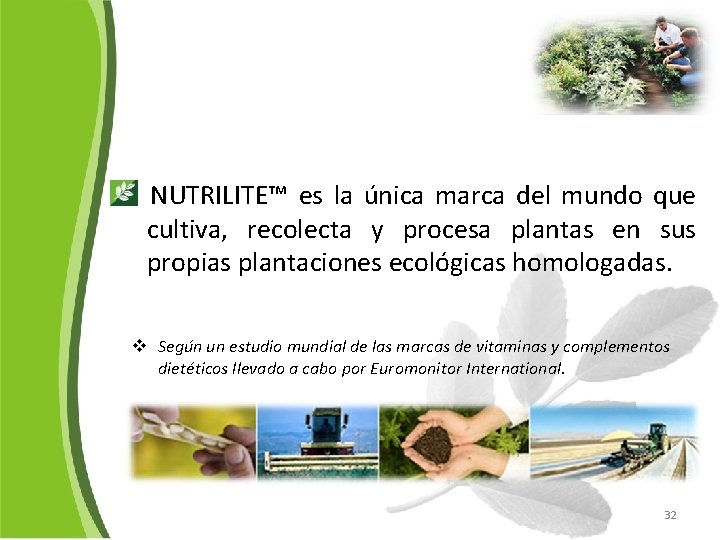  NUTRILITE™ es la única marca del mundo que cultiva, recolecta y procesa plantas