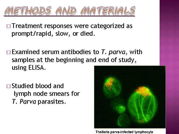 METHODS AND MATERIALS � Treatment responses were categorized as prompt/rapid, slow, or died. �