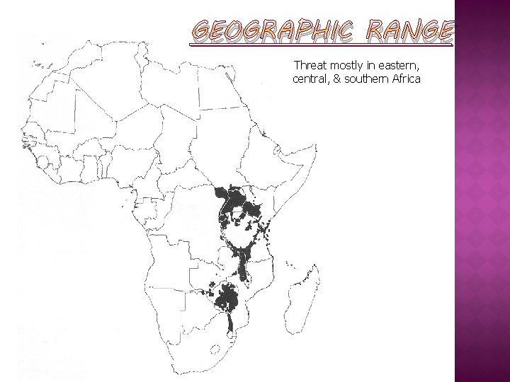 GEOGRAPHIC RANGE Threat mostly in eastern, central, & southern Africa 