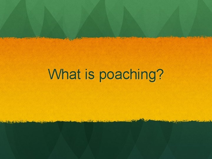 What is poaching? 