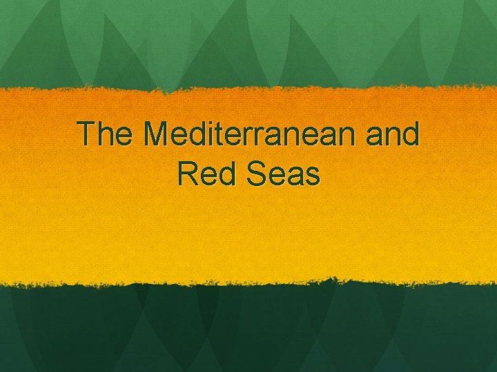 The Mediterranean and Red Seas 