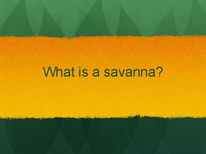 What is a savanna? 