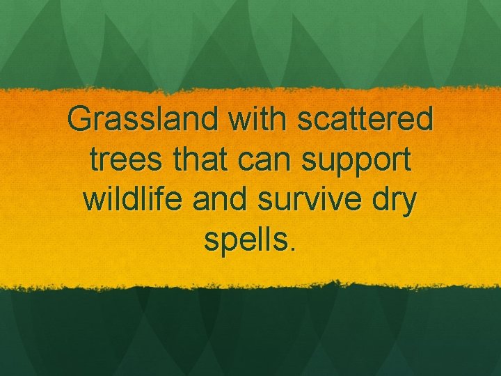 Grassland with scattered trees that can support wildlife and survive dry spells. 