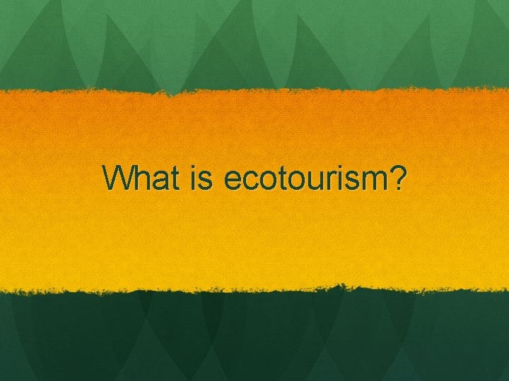 What is ecotourism? 