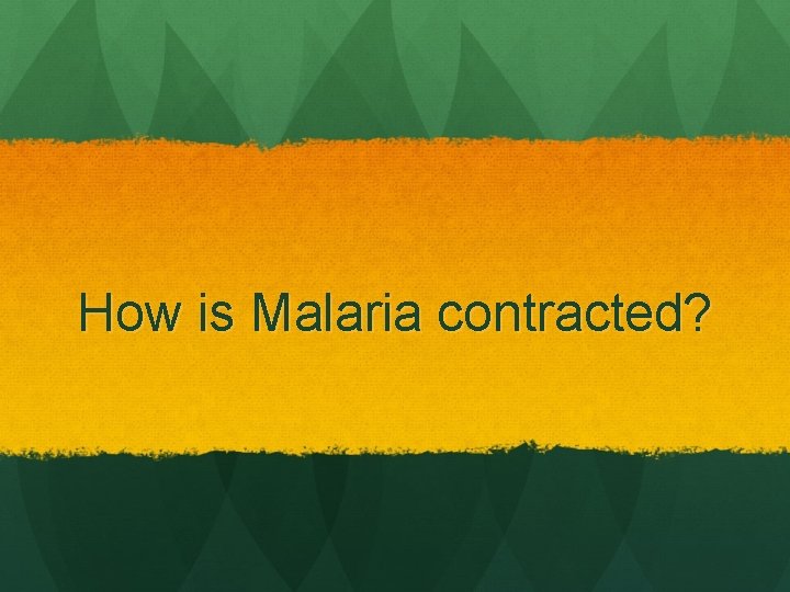 How is Malaria contracted? 