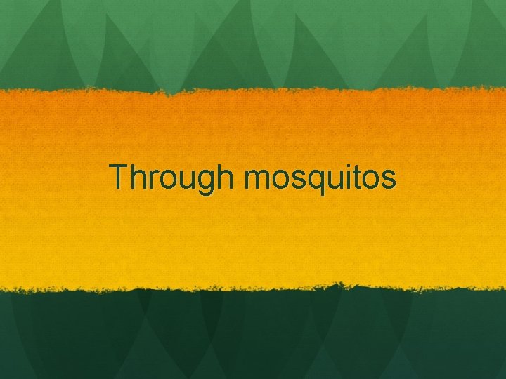 Through mosquitos 