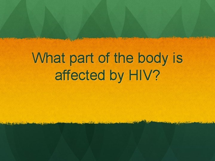 What part of the body is affected by HIV? 