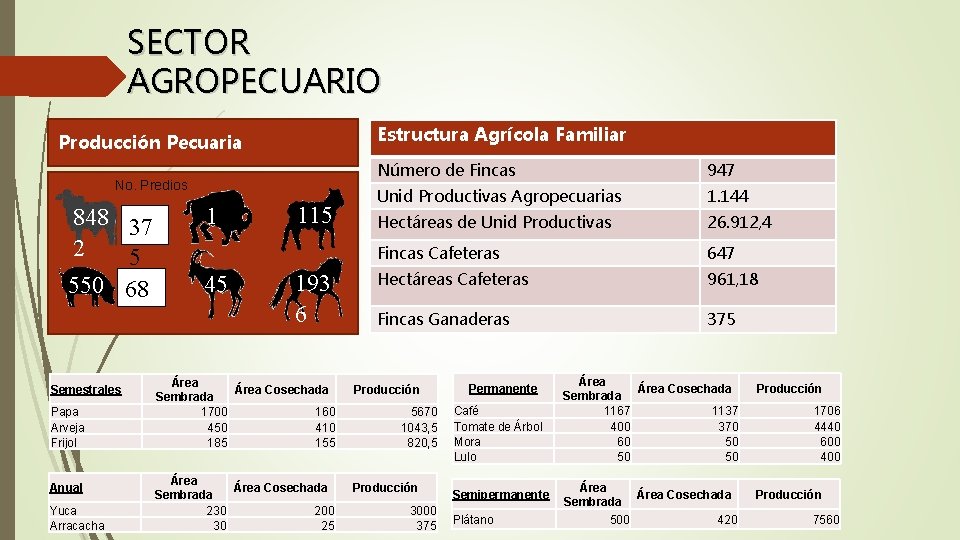 SECTOR AGROPECUARIO Estructura Agrícola Familiar Producción Pecuaria No. Predios 848 37 2 5 550