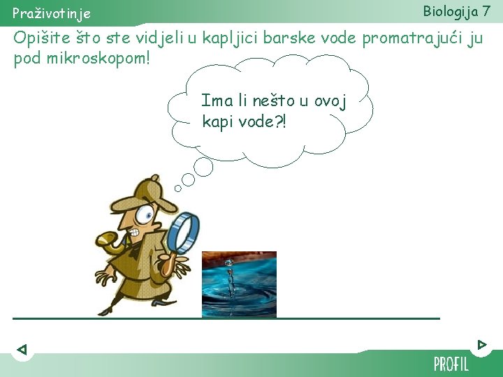 Biologija 7 Praživotinje Opišite što ste vidjeli u kapljici barske vode promatrajući ju pod