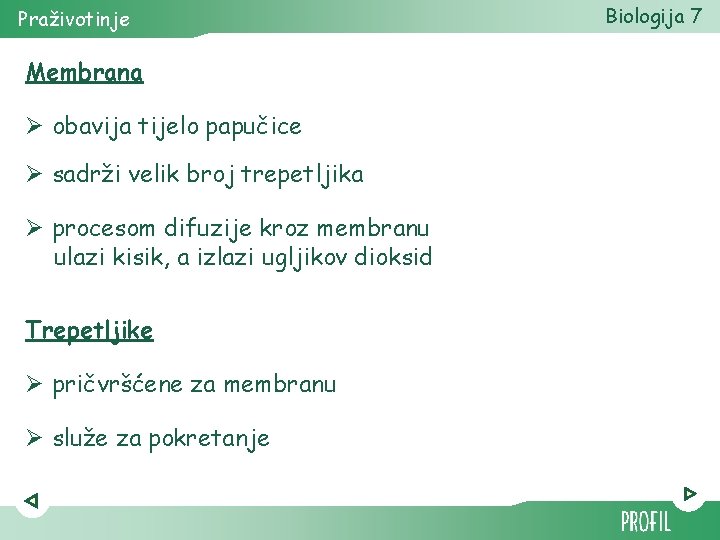 Praživotinje Membrana Ø obavija tijelo papučice Ø sadrži velik broj trepetljika Ø procesom difuzije