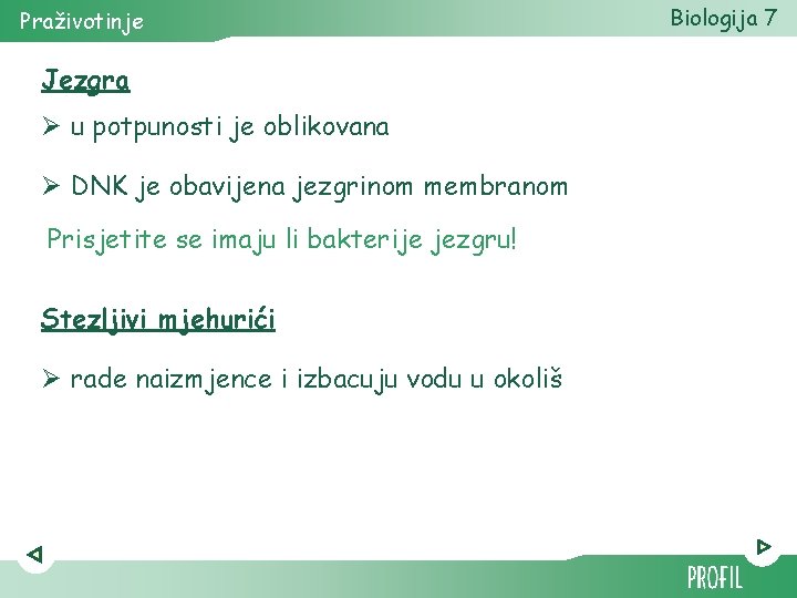 Praživotinje Jezgra Ø u potpunosti je oblikovana Ø DNK je obavijena jezgrinom membranom Prisjetite