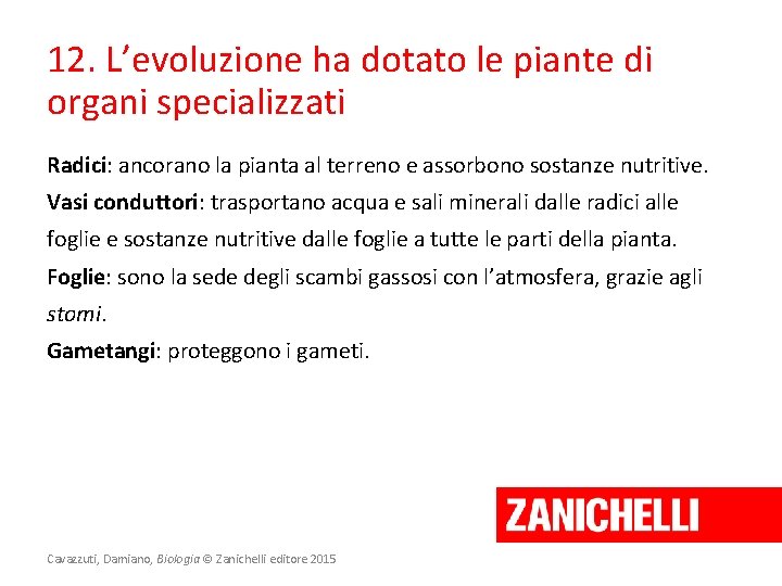 12. L’evoluzione ha dotato le piante di organi specializzati Radici: ancorano la pianta al