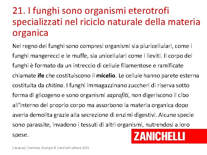 21. I funghi sono organismi eterotrofi specializzati nel riciclo naturale della materia organica Nel