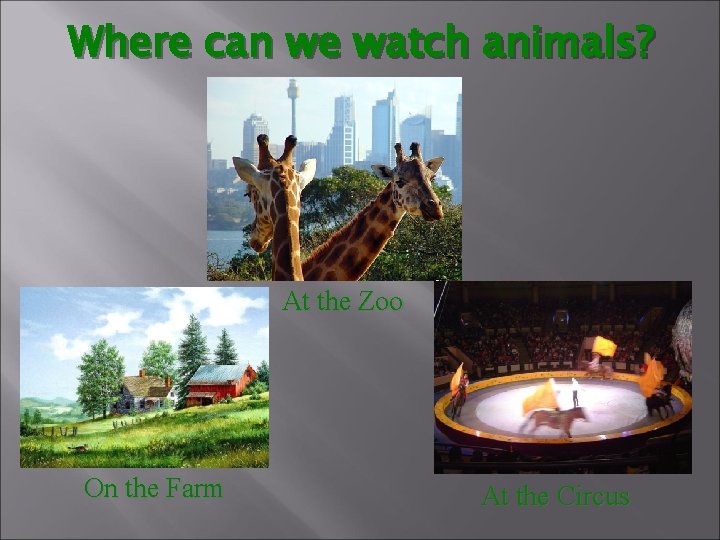 Where can we watch animals? At the Zoo On the Farm At the Circus