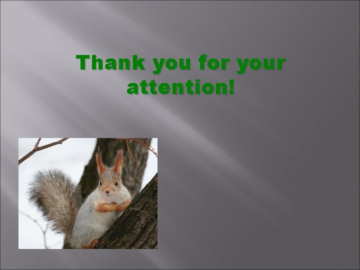 Thank you for your attention! 