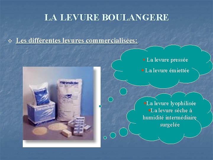 LA LEVURE BOULANGERE v Les différentes levures commercialisées: § La levure pressée § La