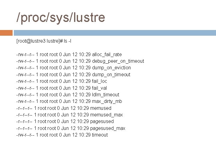 /proc/sys/lustre [root@lustre 3 lustre]# ls -l -rw-r--r-- 1 root 0 Jun 12 10: 29