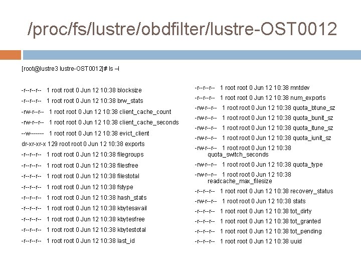 /proc/fs/lustre/obdfilter/lustre-OST 0012 [root@lustre 3 lustre-OST 0012]# ls –l -r--r--r-- 1 root 0 Jun 12