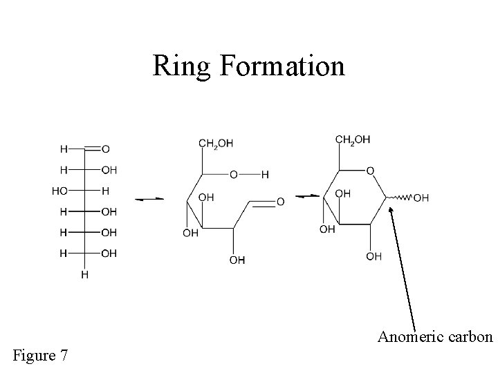 Ring Formation Anomeric carbon Figure 7 