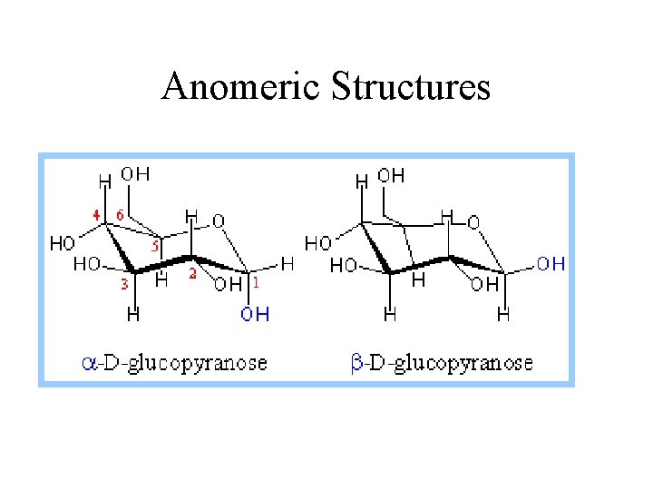 Anomeric Structures 