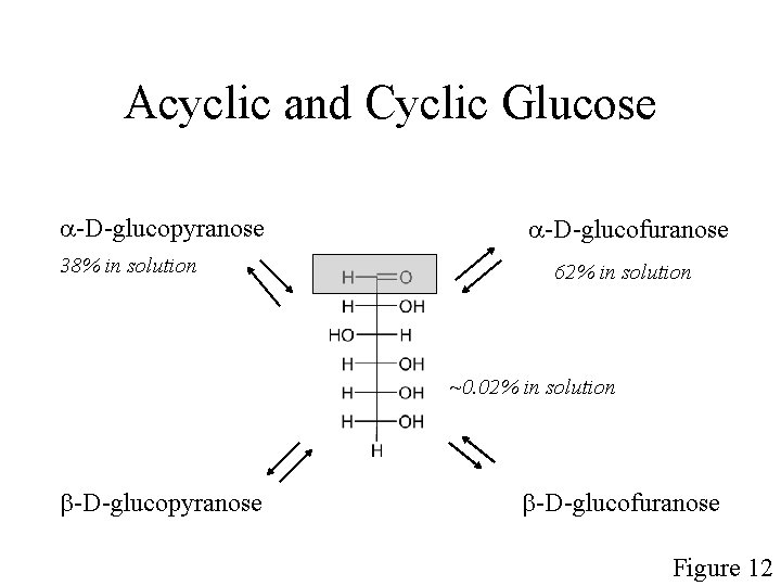 Acyclic and Cyclic Glucose a-D-glucopyranose 38% in solution a-D-glucofuranose 62% in solution ~0. 02%