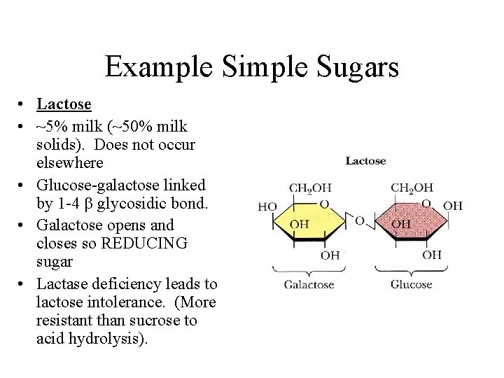 Example Simple Sugars • Lactose • ~5% milk (~50% milk solids). Does not occur