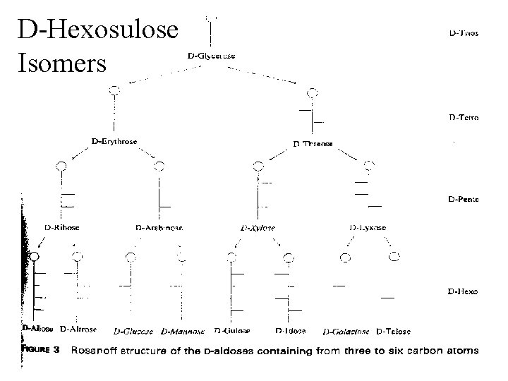 D-Hexosulose Isomers 