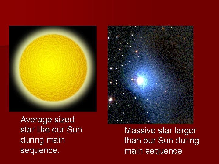 Average sized star like our Sun during main sequence. Massive star larger than our Average sized star like our Sun during main sequence. Massive star larger than our