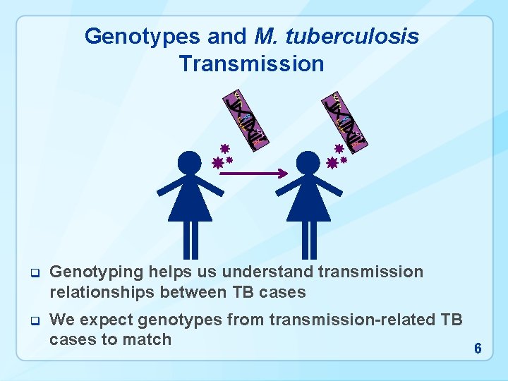 Genotypes and M. tuberculosis Transmission q Genotyping helps us understand transmission relationships between TB