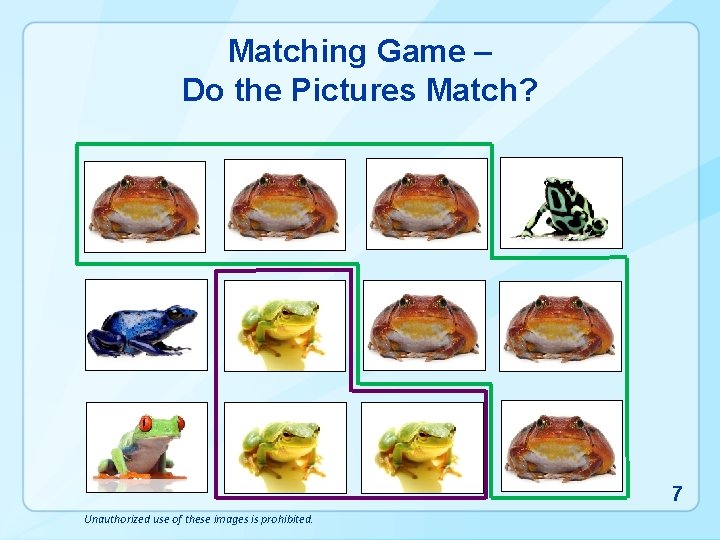 Matching Game – Do the Pictures Match? 7 Unauthorized use of these images is